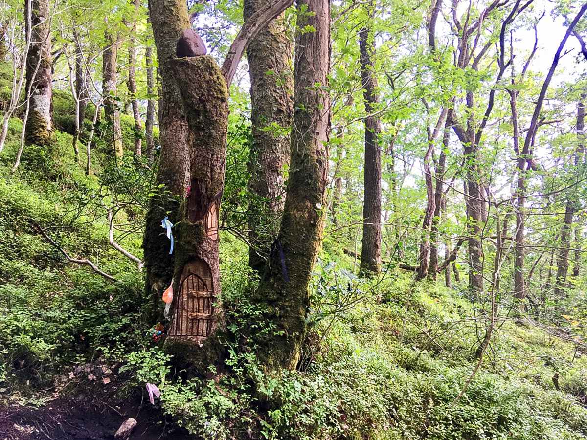 Fairy doors on Doon Hill Fairy Trail hike in Loch Lomond and The Trossachs region in Scotland