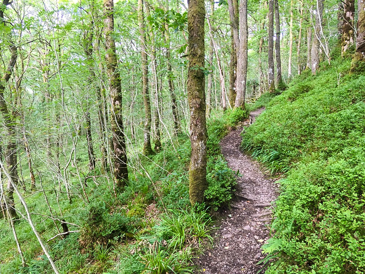 Footpath on Doon Hill Fairy Trail hike in Loch Lomond and The Trossachs region in Scotland