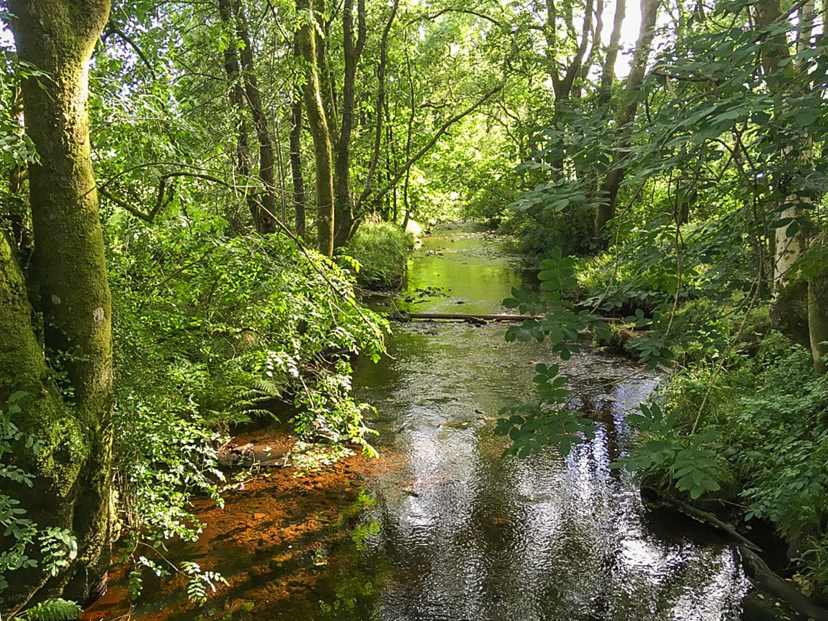 River Forth on Doon Hill Fairy Trail hike in Loch Lomond and The Trossachs region in Scotland