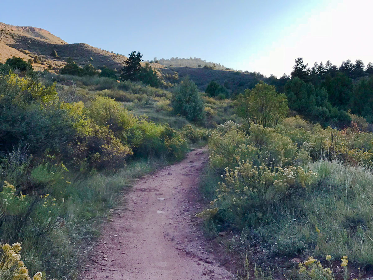 Path of Heil Ranch mountain biking trail near Boulder, Colorado