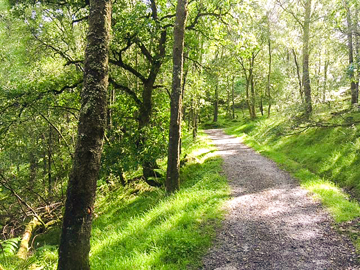 Woodland footpath on Loch Venachar hike in Loch Lomond and The Trossachs region in Scotland