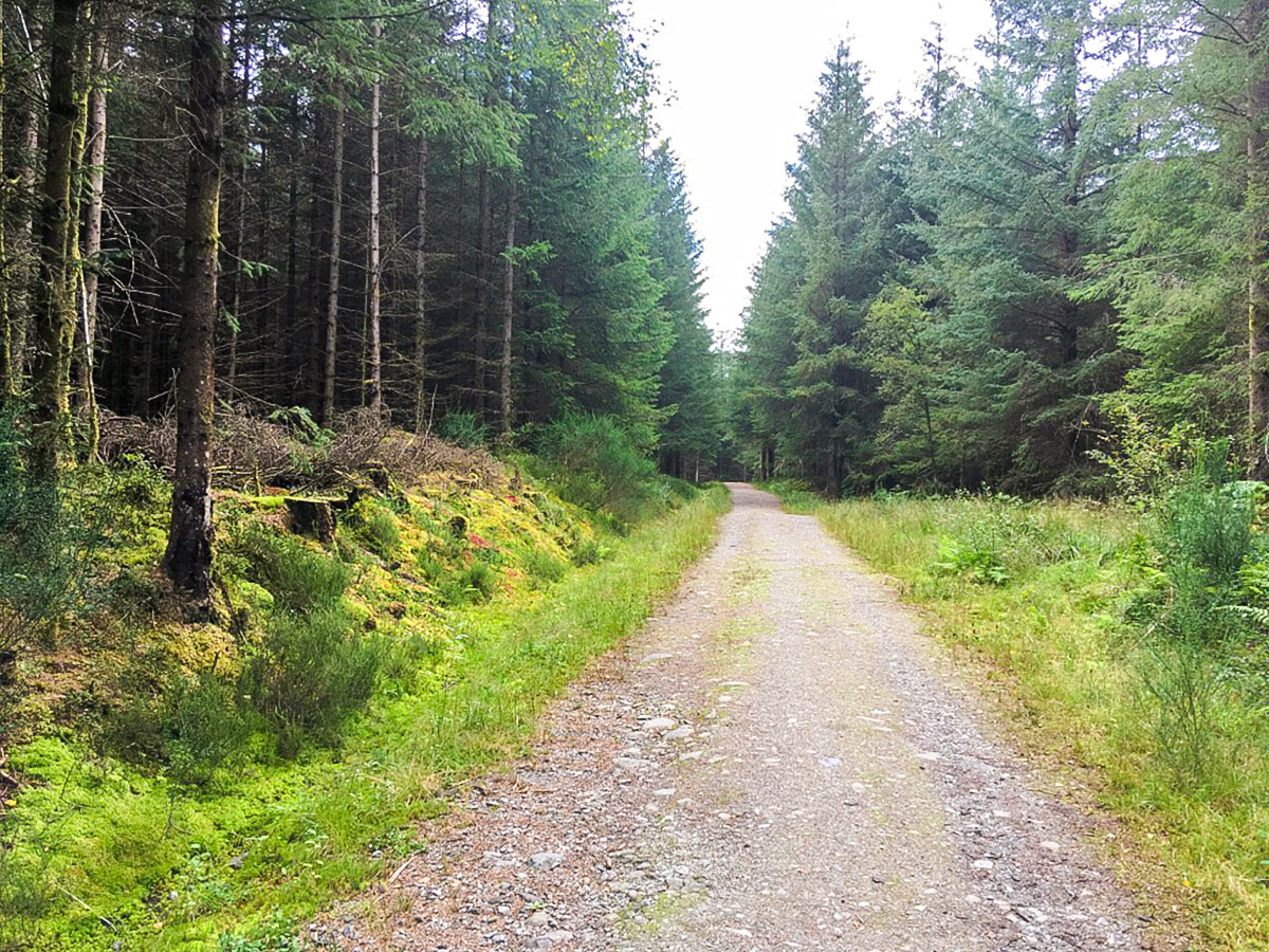 Lochan Spling hike in Loch Lomond and The Trossachs region in Scotland