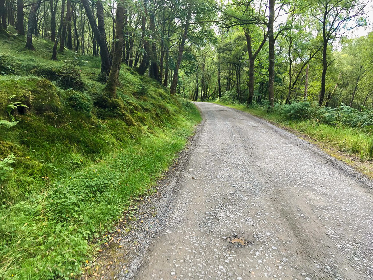 Route to Aberfoyle on Lochan Spling hike in Loch Lomond and The Trossachs region in Scotland