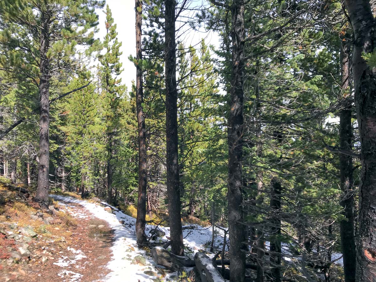 Path of South Sourdough MTB trail near Boulder, Colorado
