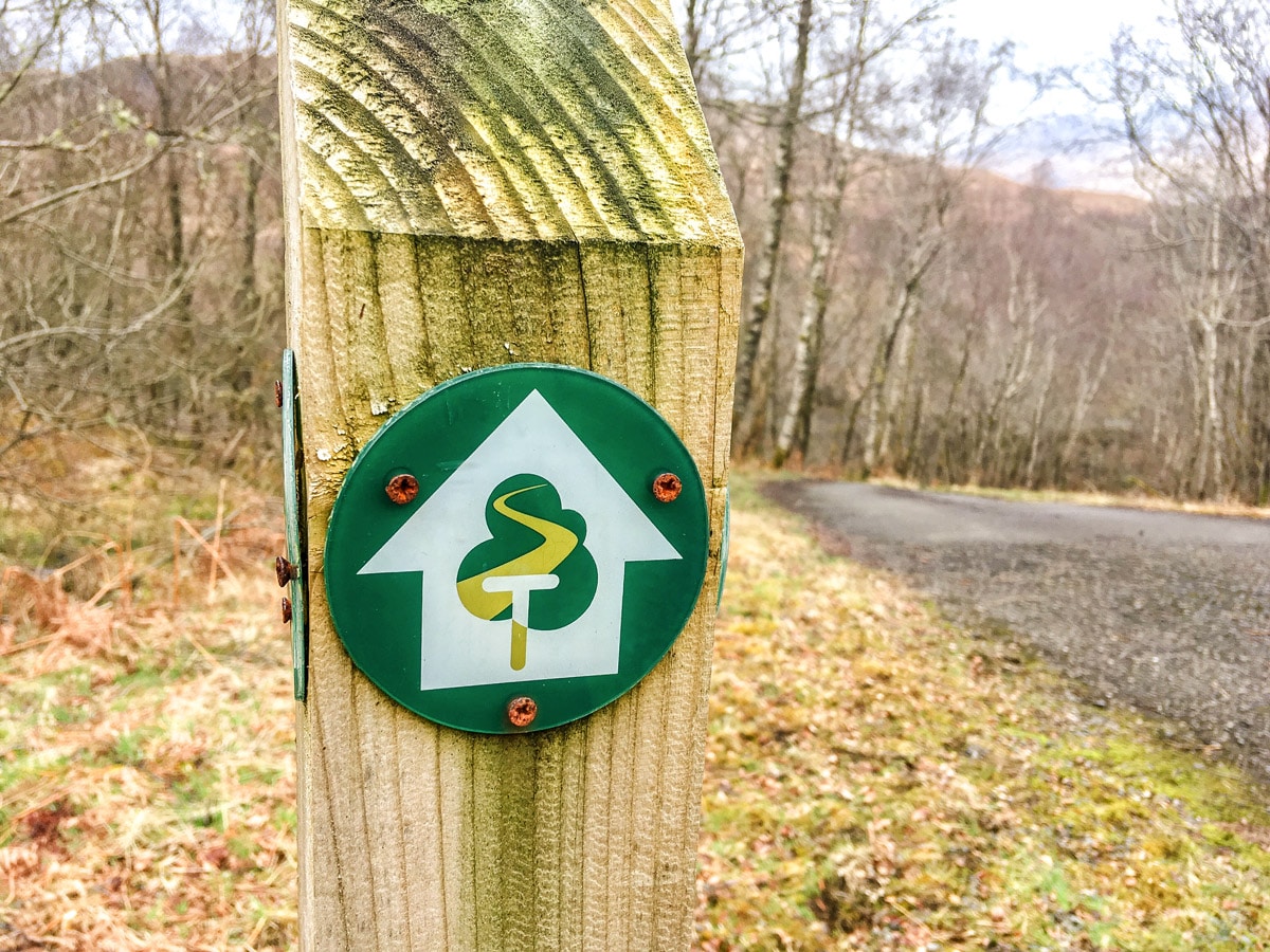 Tree sign on The Great Trossachs Path 1 hike in Loch Lomond and The Trossachs region in Scotland