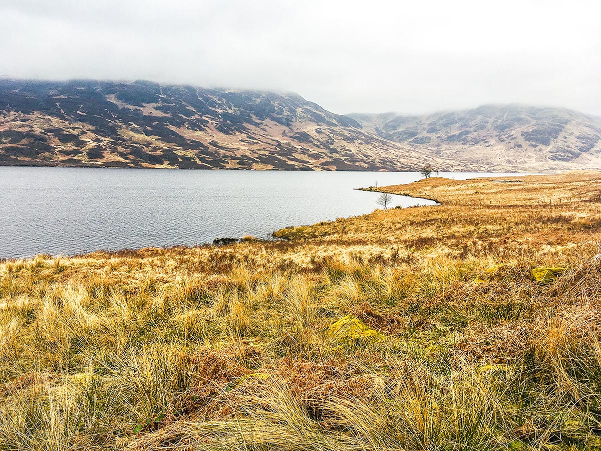 Beautiful landscape on The Great Trossachs Path 1 hike in Loch Lomond and The Trossachs region in Scotland