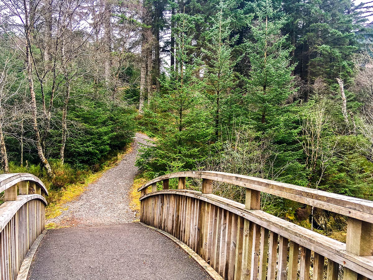 Bridge on The Great Trossachs Path 2 hike in Loch Lomond and The Trossachs region in Scotland