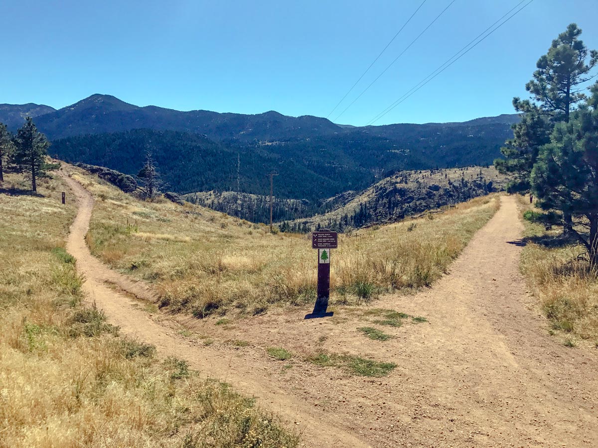 Path of Walker Ranch Loop MTB trail near Boulder, Colorado