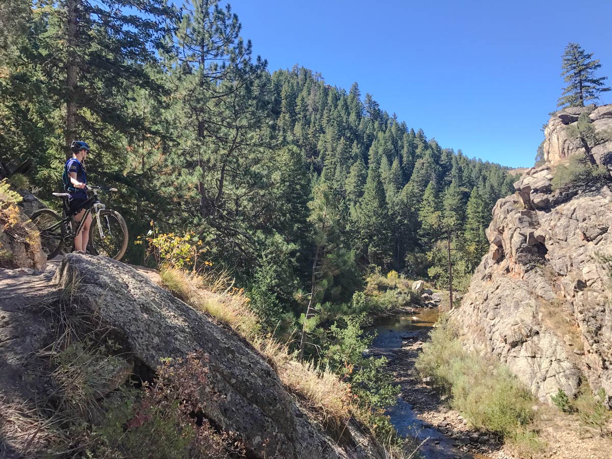 Walker Ranch Loop mountain biking trail in Boulder leads through beautiful woods