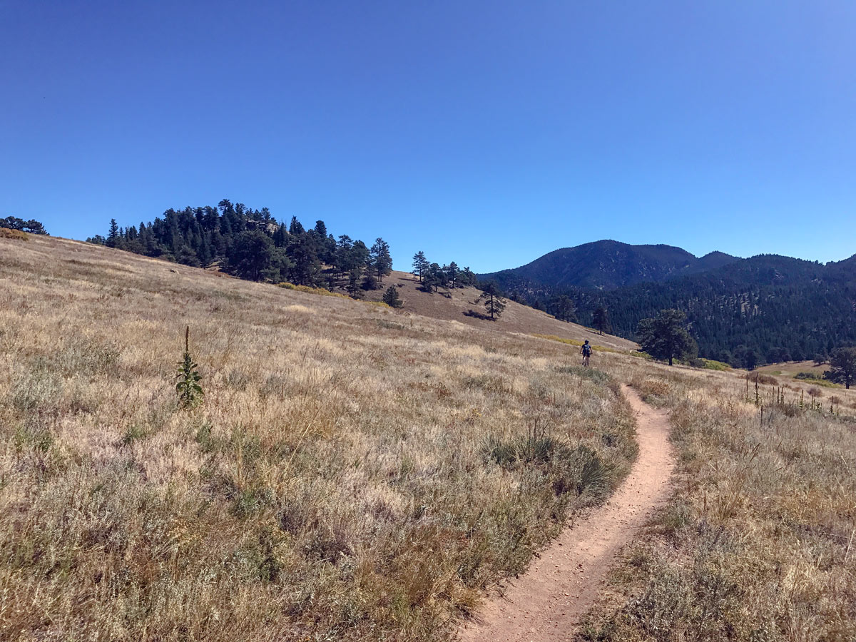 Scenery on Walker Ranch Loop mountain biking trail near Boulder, Colorado