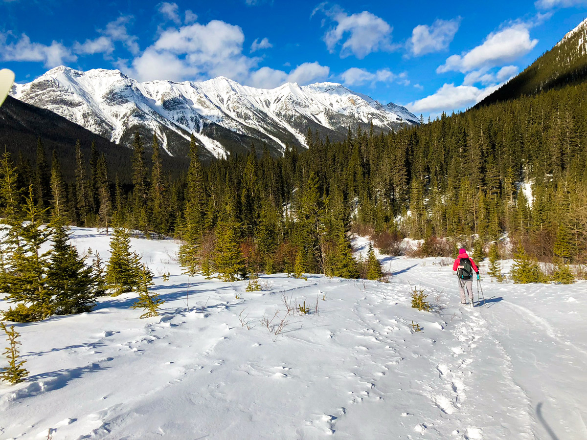 Beginning of Goat Creek to Banff Springs XC ski trail in Canmore and Banff National Park