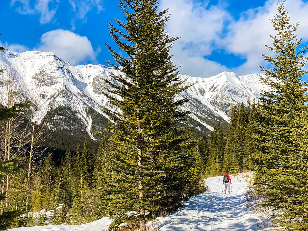 Early views on Goat Creek to Banff Springs XC ski trail in Canmore and Banff National Park