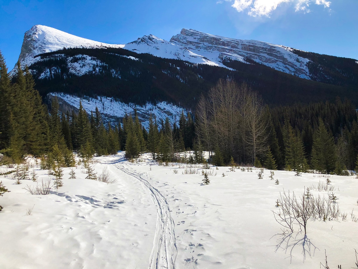Winter views on Goat Creek to Banff Springs XC ski trail in Canmore and Banff National Park