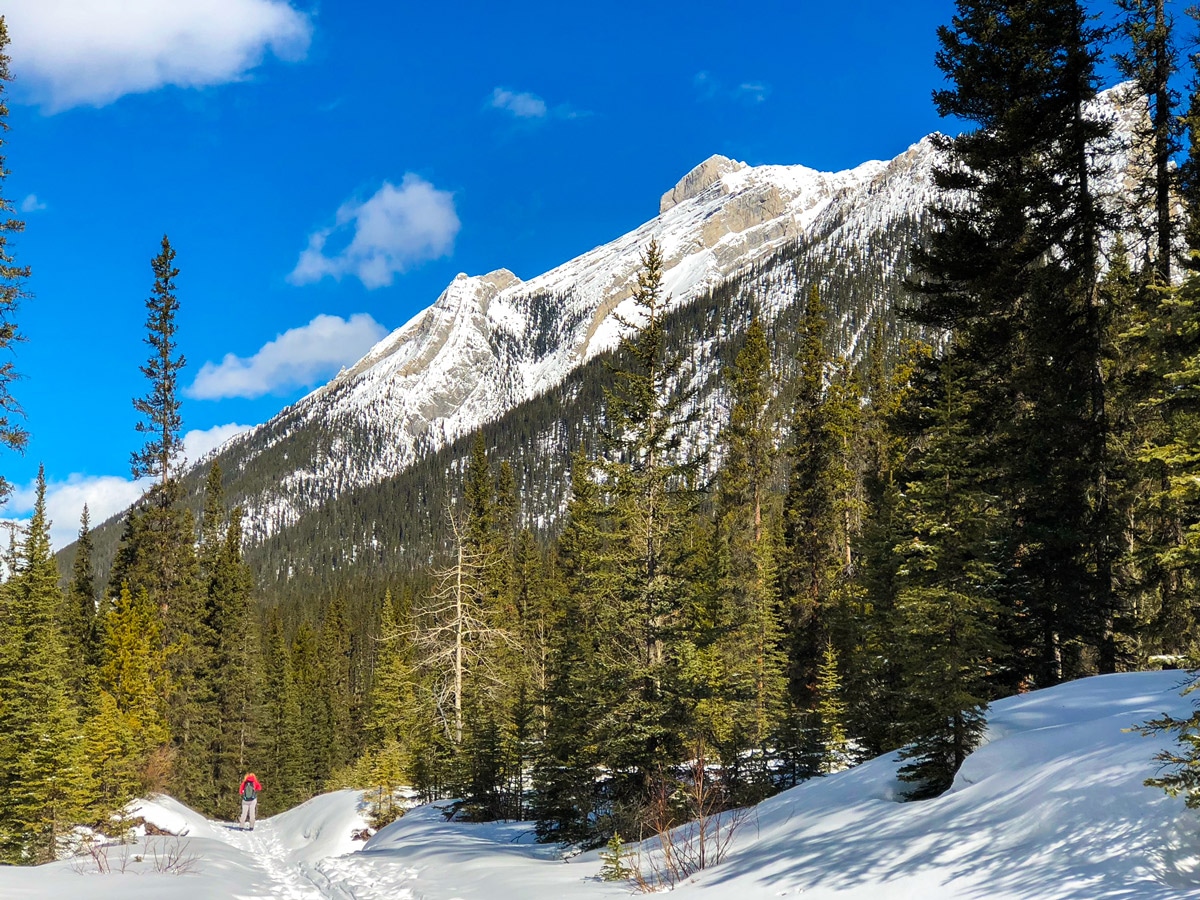Stunning scenery on Goat Creek to Banff Springs XC ski trail in Canmore and Banff National Park