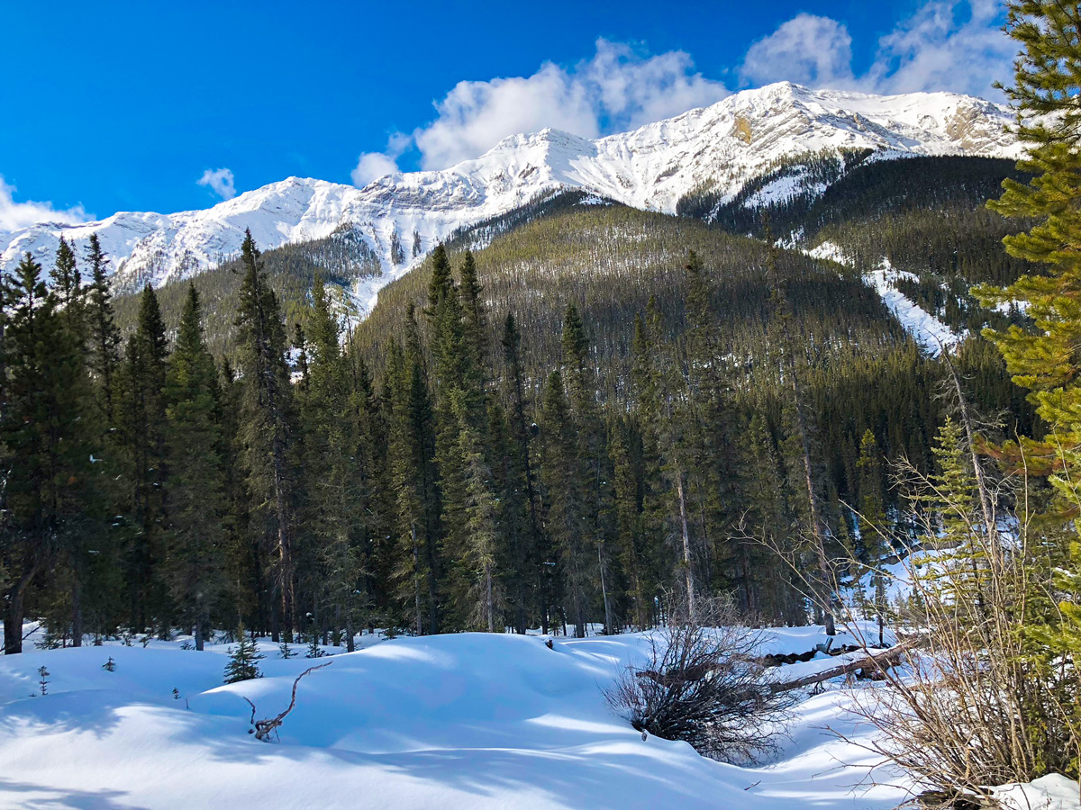 Mountain views on Goat Creek to Banff Springs XC ski trail in Canmore and Banff National Park