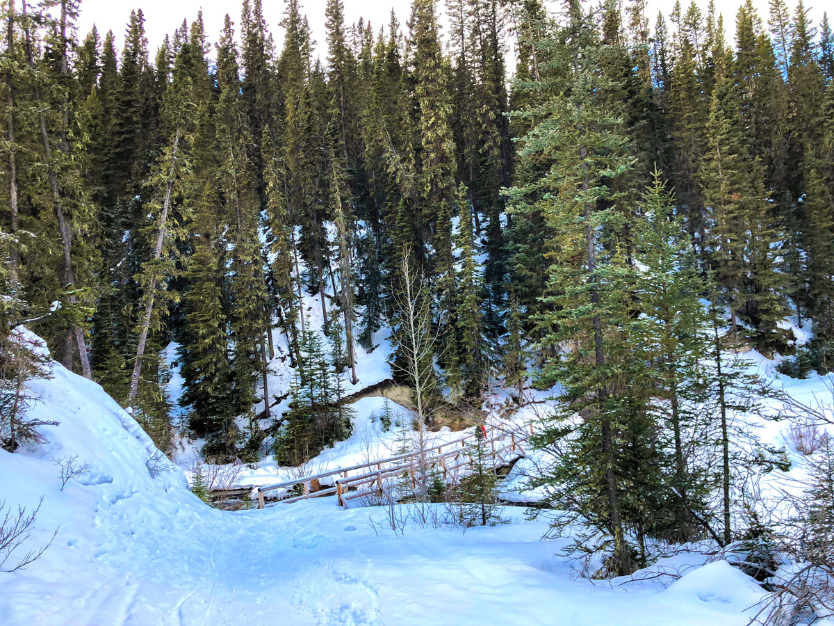 Bridge on Goat Creek to Banff Springs XC ski trail in Canmore and Banff National Park