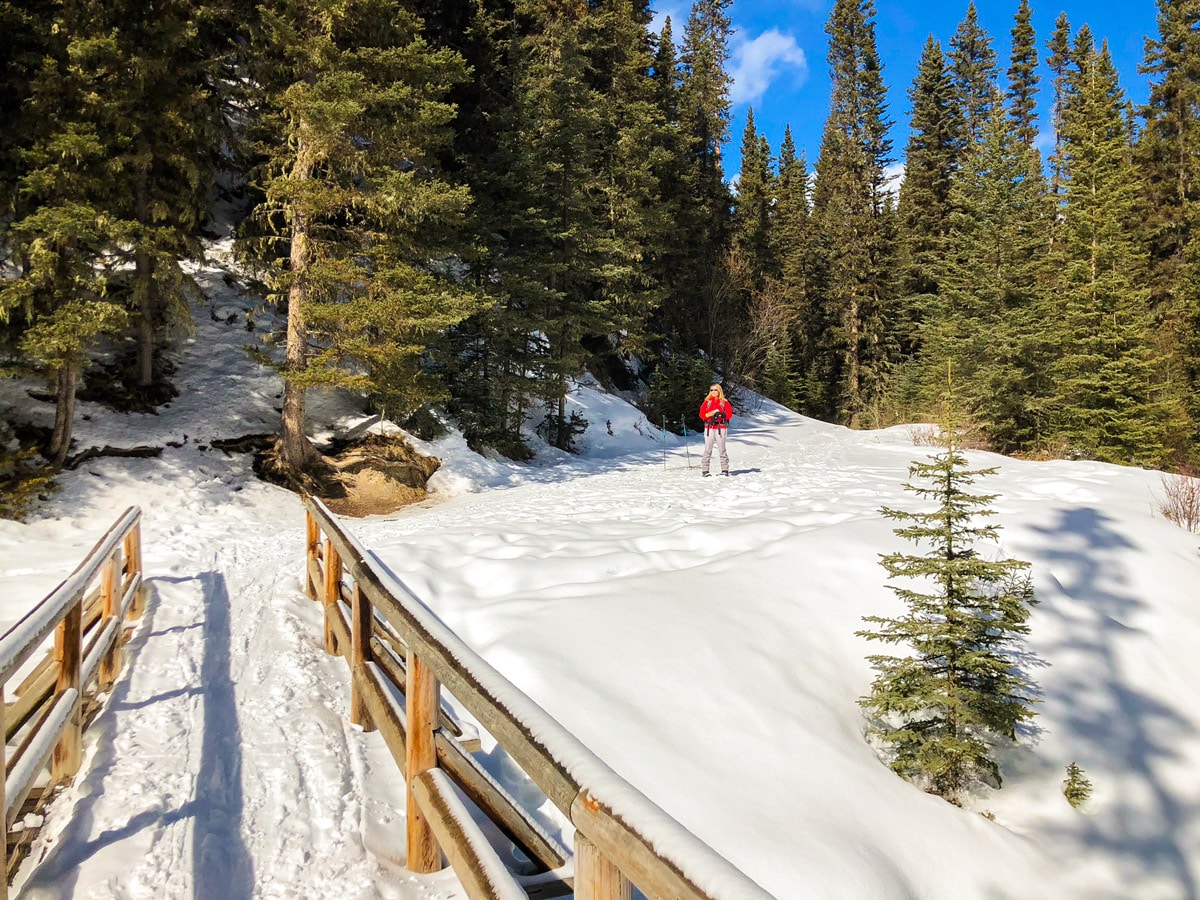 Snowy path of Goat Creek to Banff Springs XC ski trail in Canmore and Banff National Park
