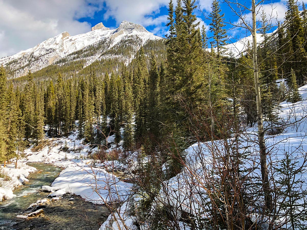 Stunning views on Goat Creek to Banff Springs XC ski trail in Canmore and Banff National Park