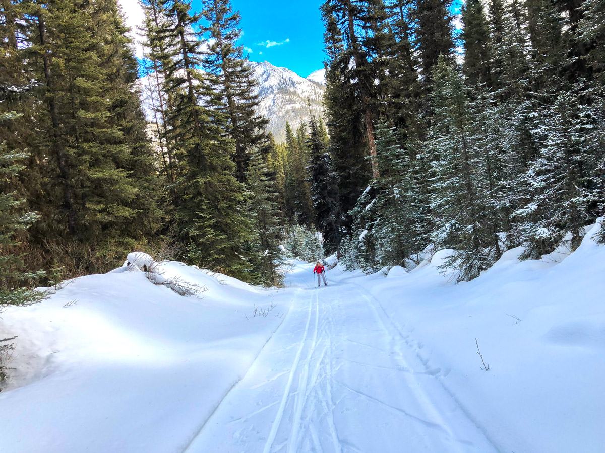 Beautiful views on Goat Creek to Banff Springs XC ski trail in Canmore and Banff National Park