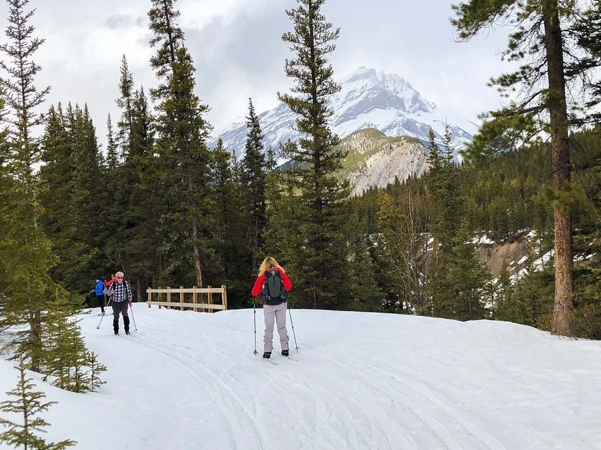 Skiers on Goat Creek to Banff Springs XC ski trail in Canmore and Banff National Park