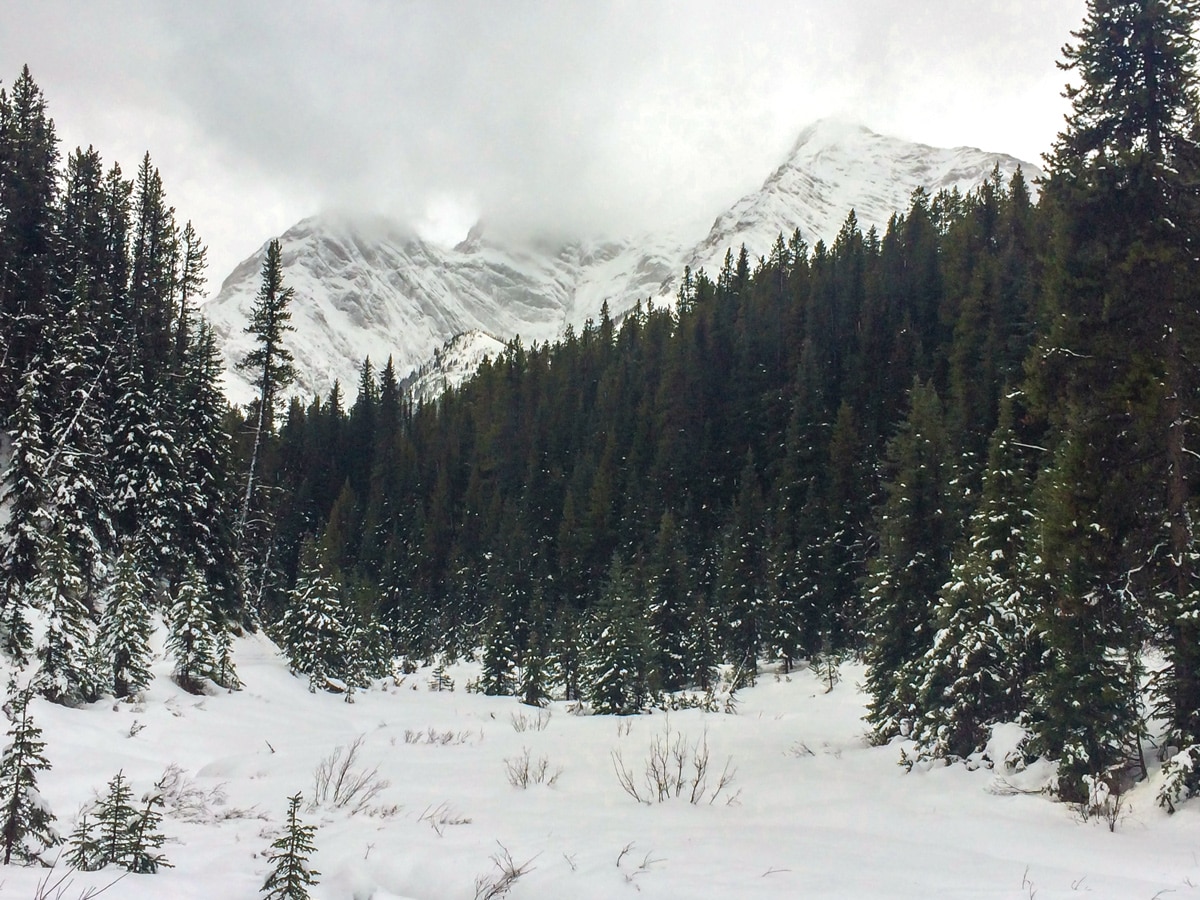 Nice views on Elk Pass XC ski trail near Kananaskis and Canmore