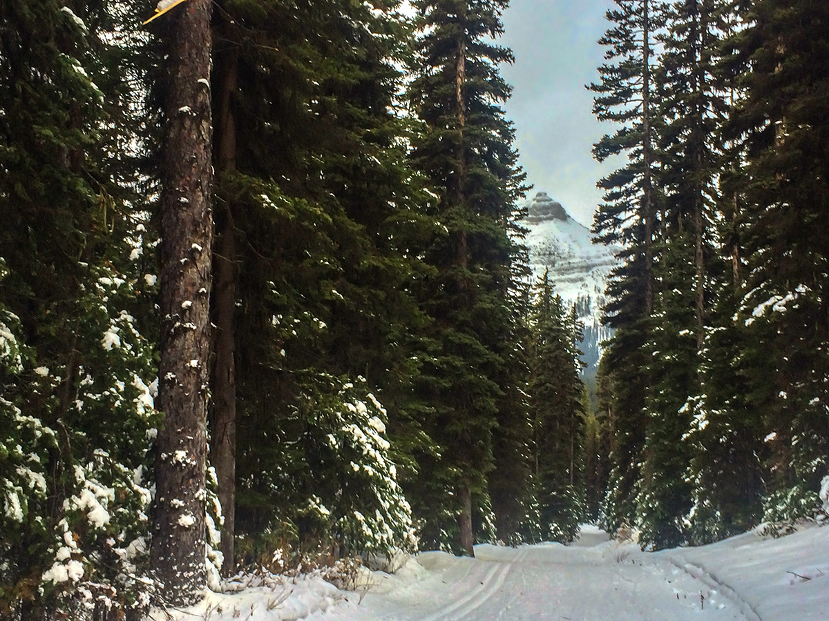 Peak covered by snow on Elk Pass XC ski trail near Kananaskis and Canmore