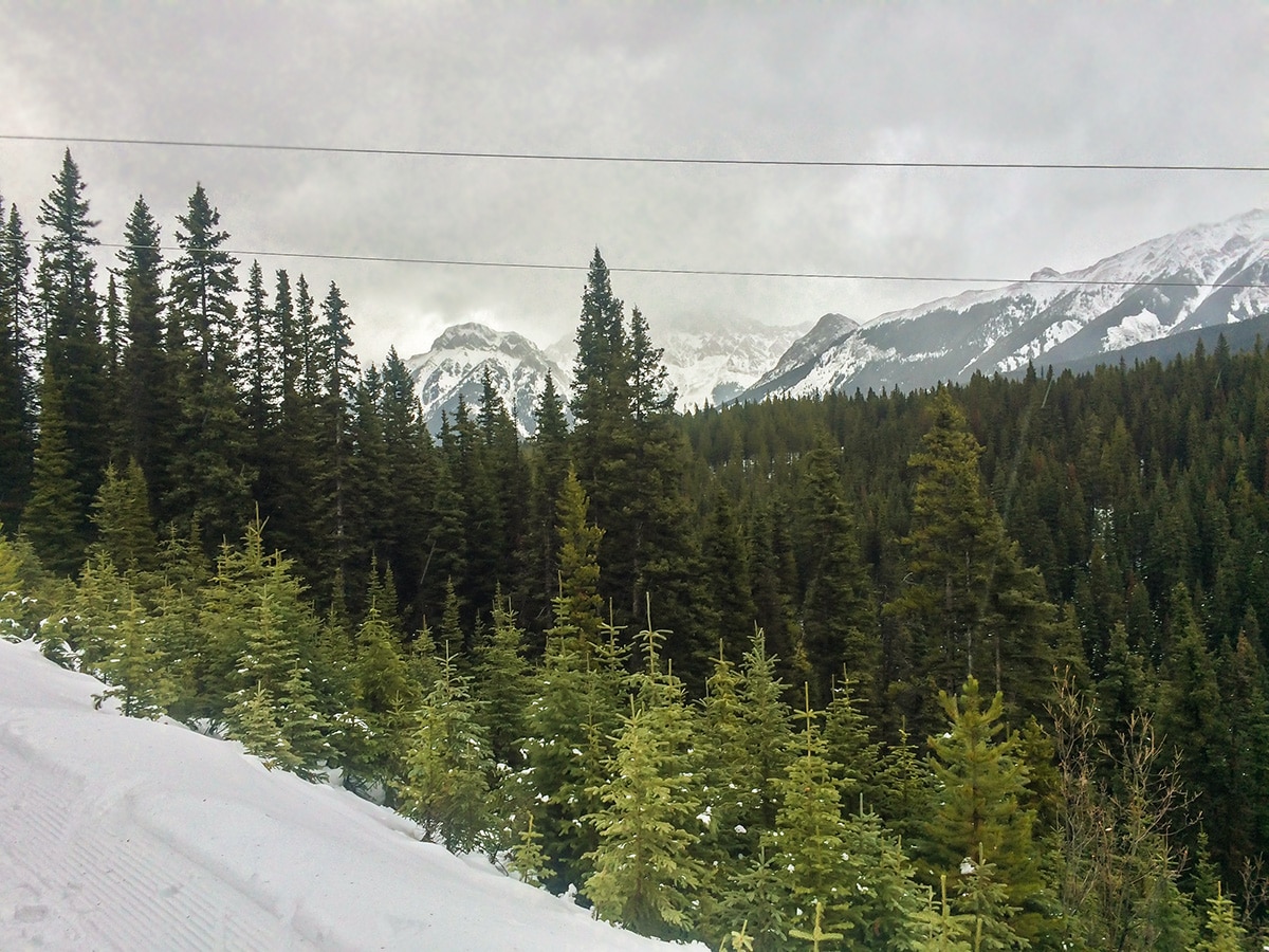 Beautiful views on Elk Pass XC ski trail near Kananaskis and Canmore