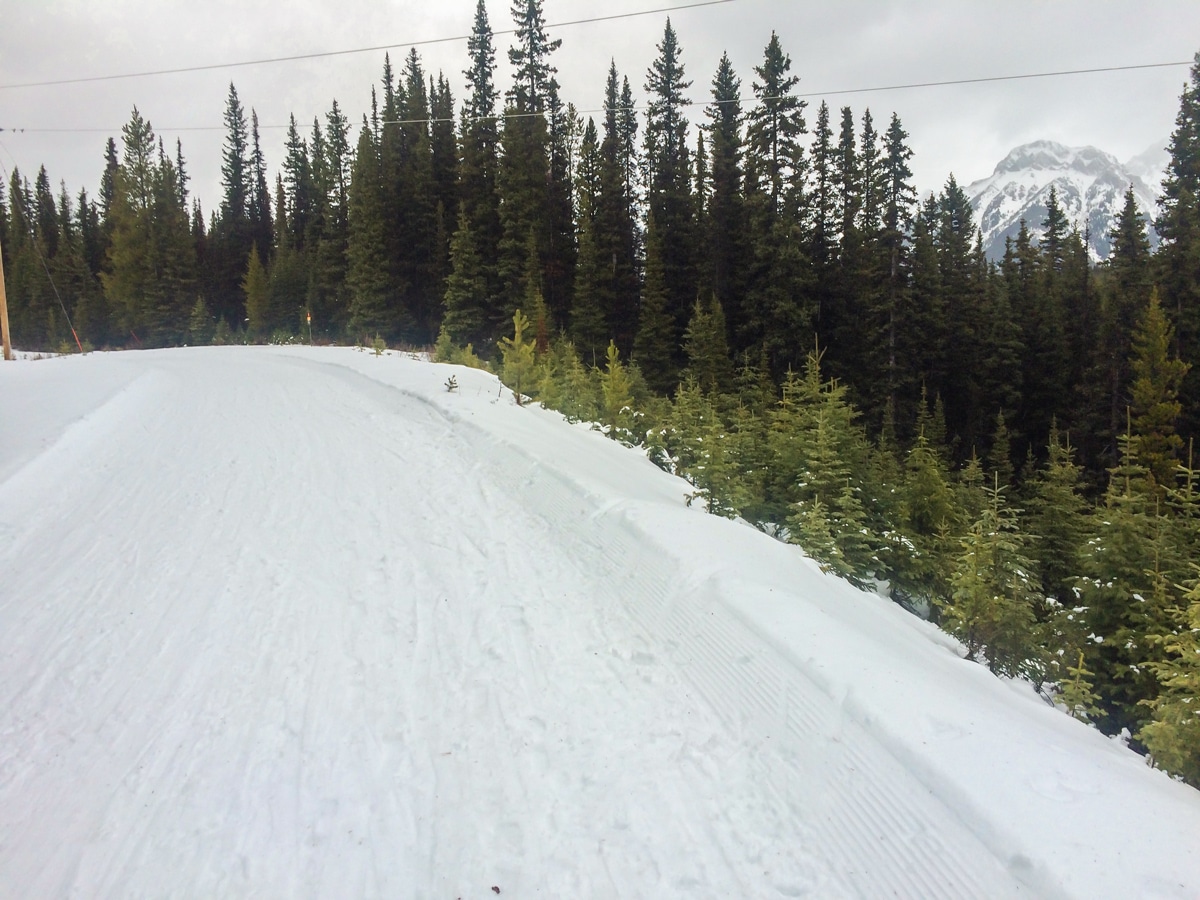 Views below the power lines on Elk Pass XC ski trail near Kananaskis and Canmore