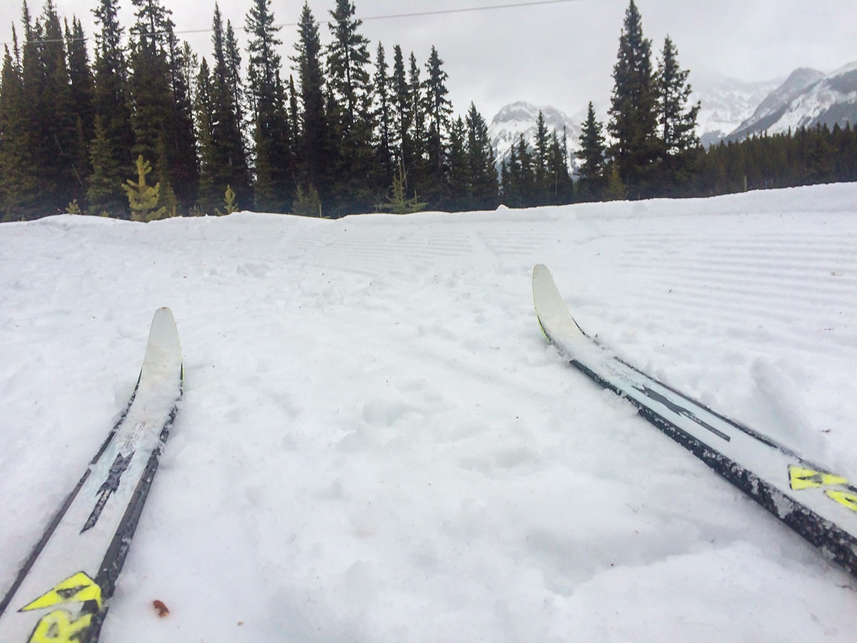 Great scenery on Elk Pass XC ski trail near Kananaskis and Canmore