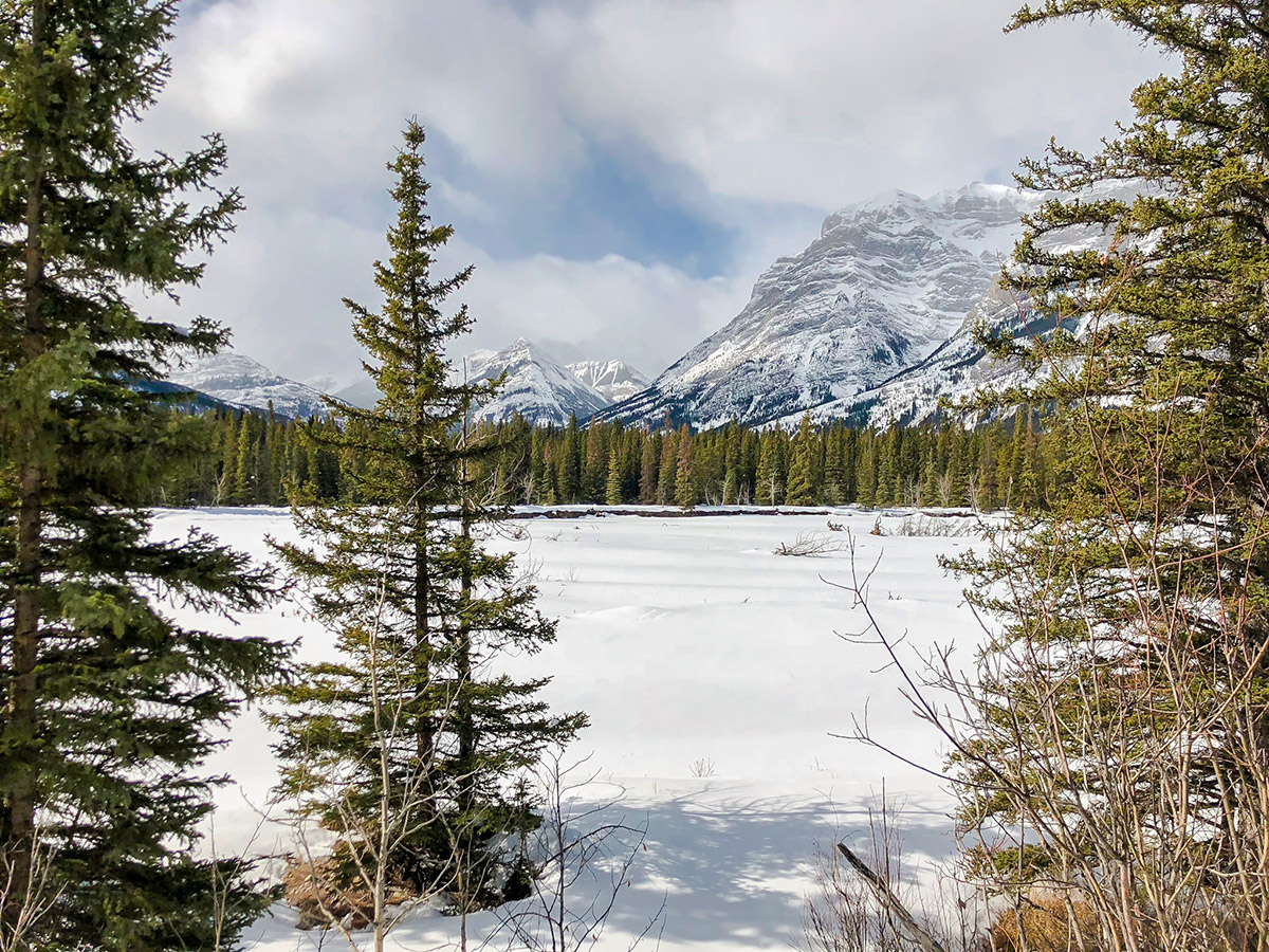 Beautiful overlook on Evan-Thomas & Wedge Pond XC ski trail near Kananaskis in the Canadian Rockies