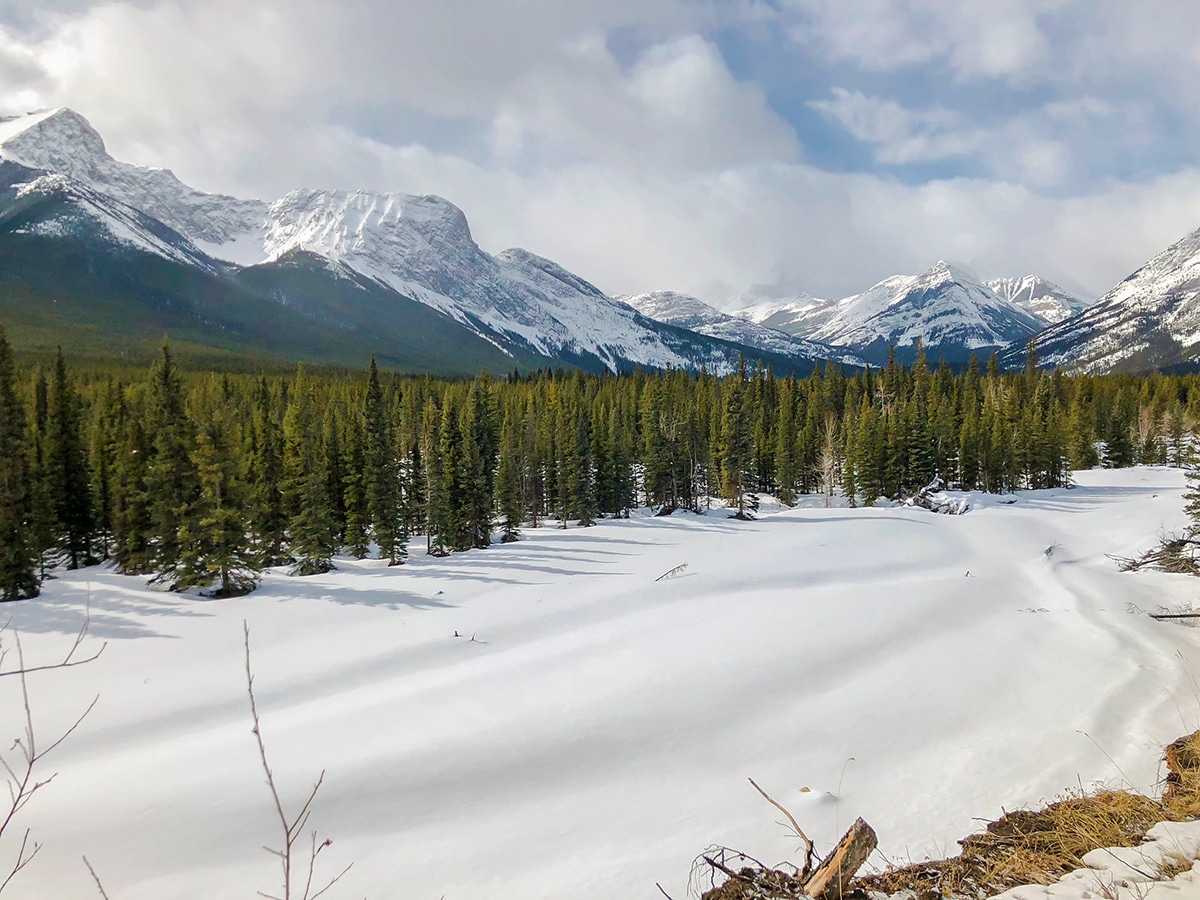 Stunning views on Evan-Thomas & Wedge Pond XC ski trail near Kananaskis in the Canadian Rockies