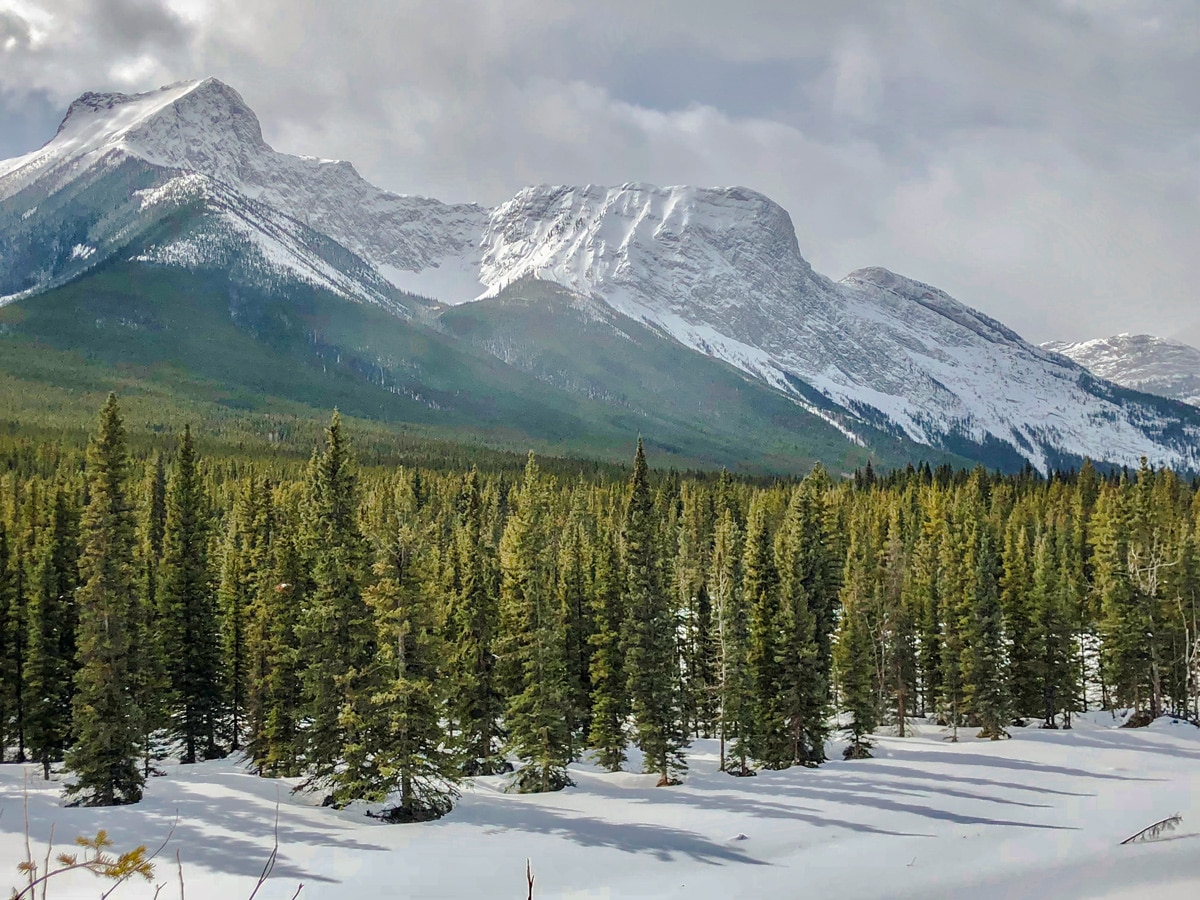 Winter scenery on Evan-Thomas & Wedge Pond XC ski trail near Kananaskis in the Canadian Rockies