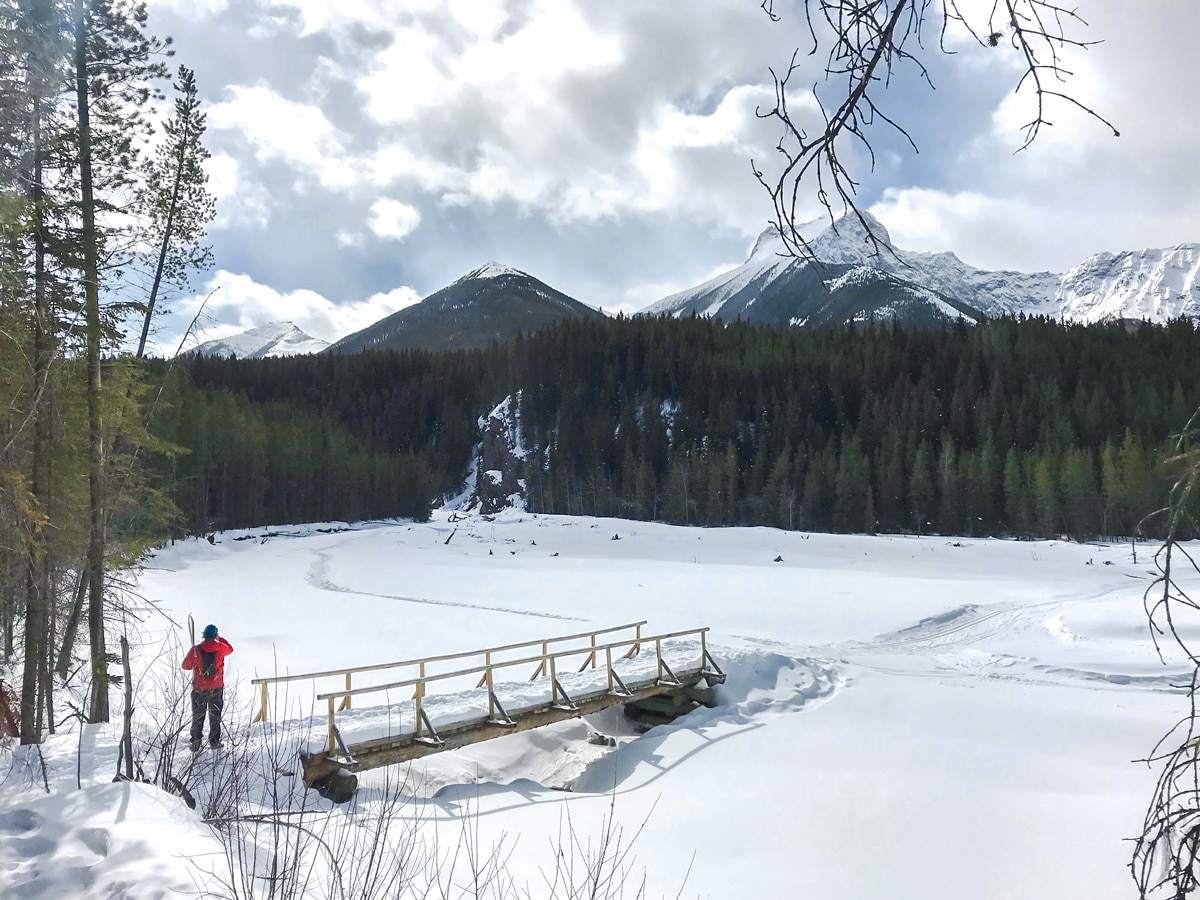 Crossing the bridge on Evan-Thomas & Wedge Pond XC ski trail near Kananaskis in the Canadian Rockies