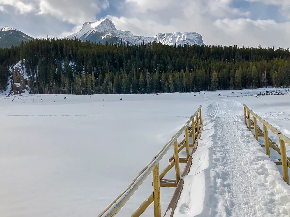 Bridge over the creek on Evan-Thomas & Wedge Pond XC ski trail near Kananaskis in the Canadian Rockies