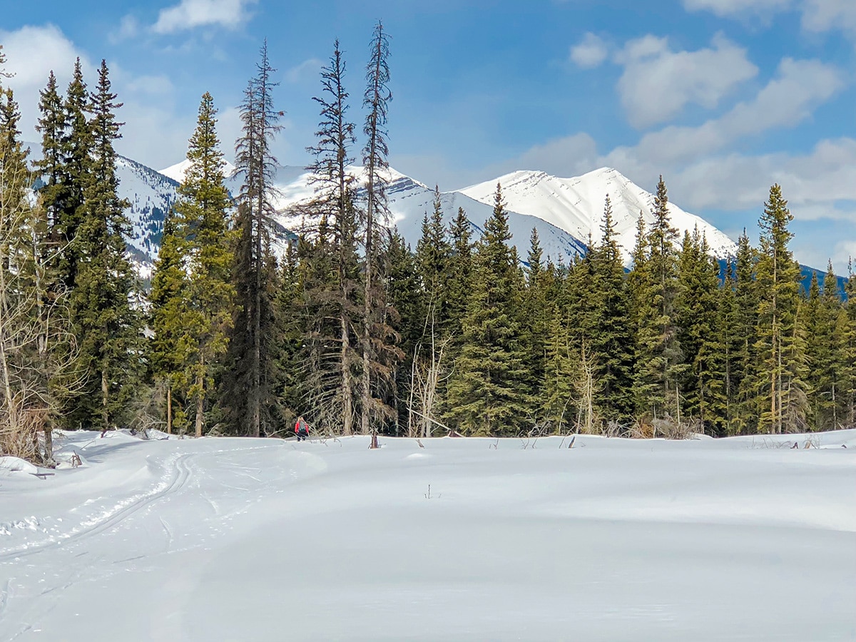 Snowy mountain views on Evan-Thomas & Wedge Pond XC ski trail near Kananaskis in the Canadian Rockies