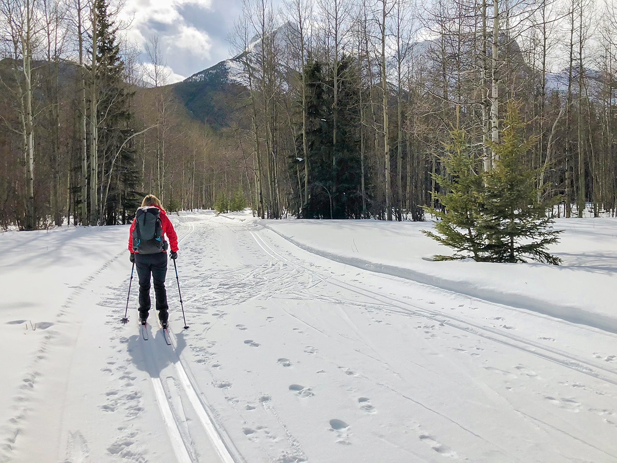 Beautiful scenery on Evan-Thomas & Wedge Pond XC ski trail near Kananaskis in the Canadian Rockies