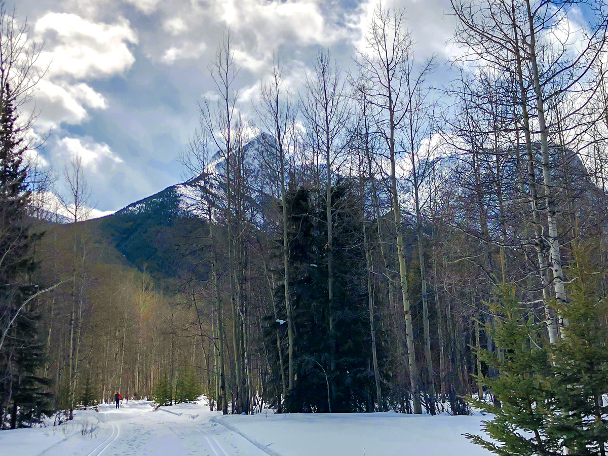 Great views on Evan-Thomas & Wedge Pond XC ski trail near Kananaskis in the Canadian Rockies