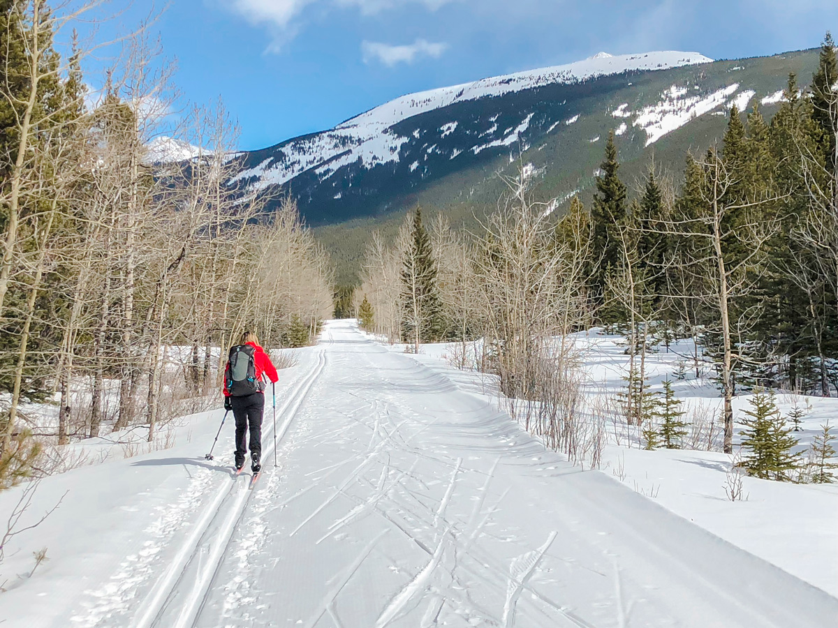 Skiing on the bike path on Evan-Thomas & Wedge Pond XC ski trail near Kananaskis in the Canadian Rockies