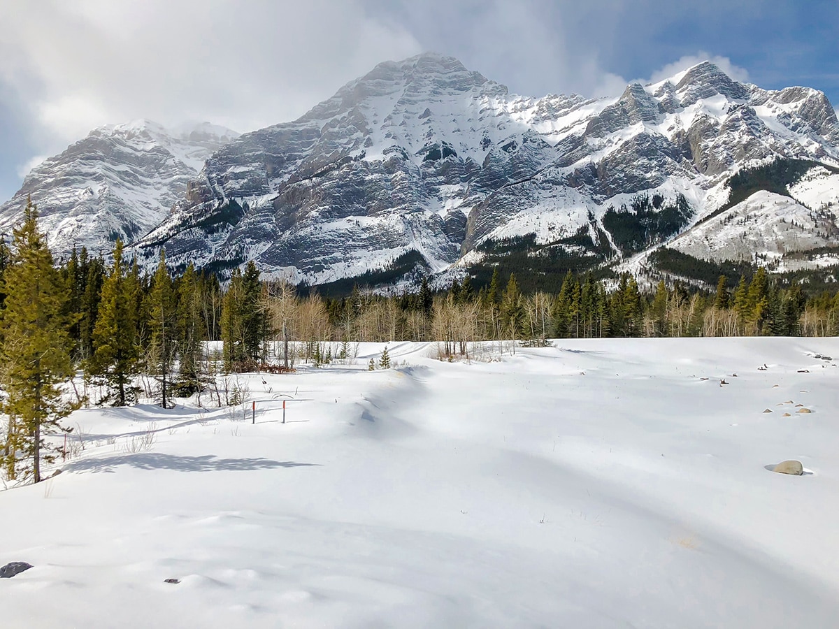 Beautiful snowy peaks on Evan-Thomas & Wedge Pond XC ski trail near Kananaskis in the Canadian Rockies