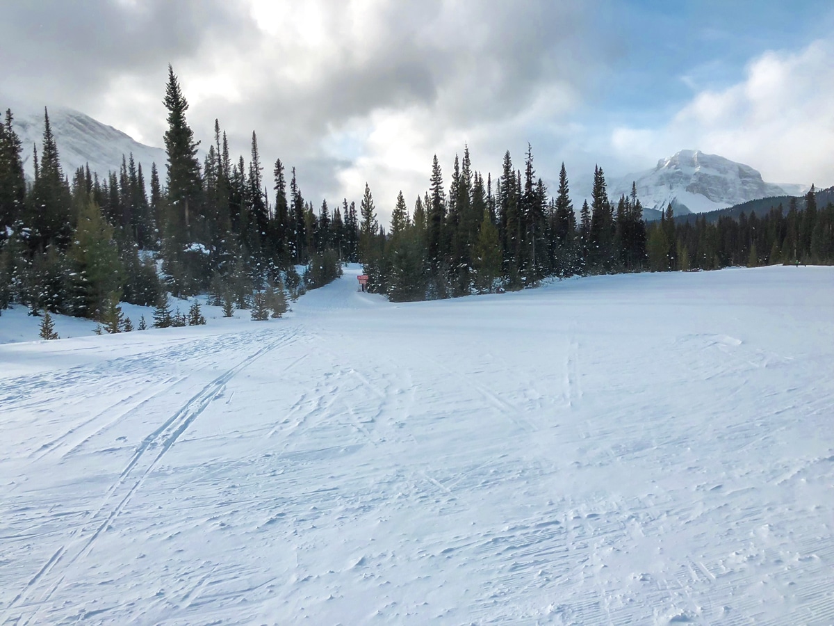 Great path of Mt Shark XC ski trail near Kananaskis and Canmore in the Canadian Rockies