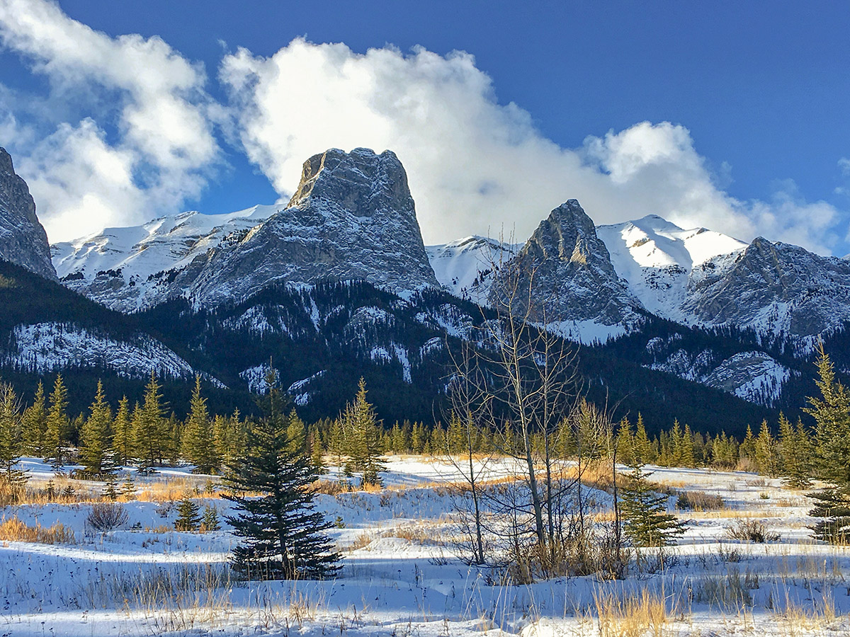 Snowy peaks along Canmore Nordic Centre XC ski trail in Canmore near Banff National Park