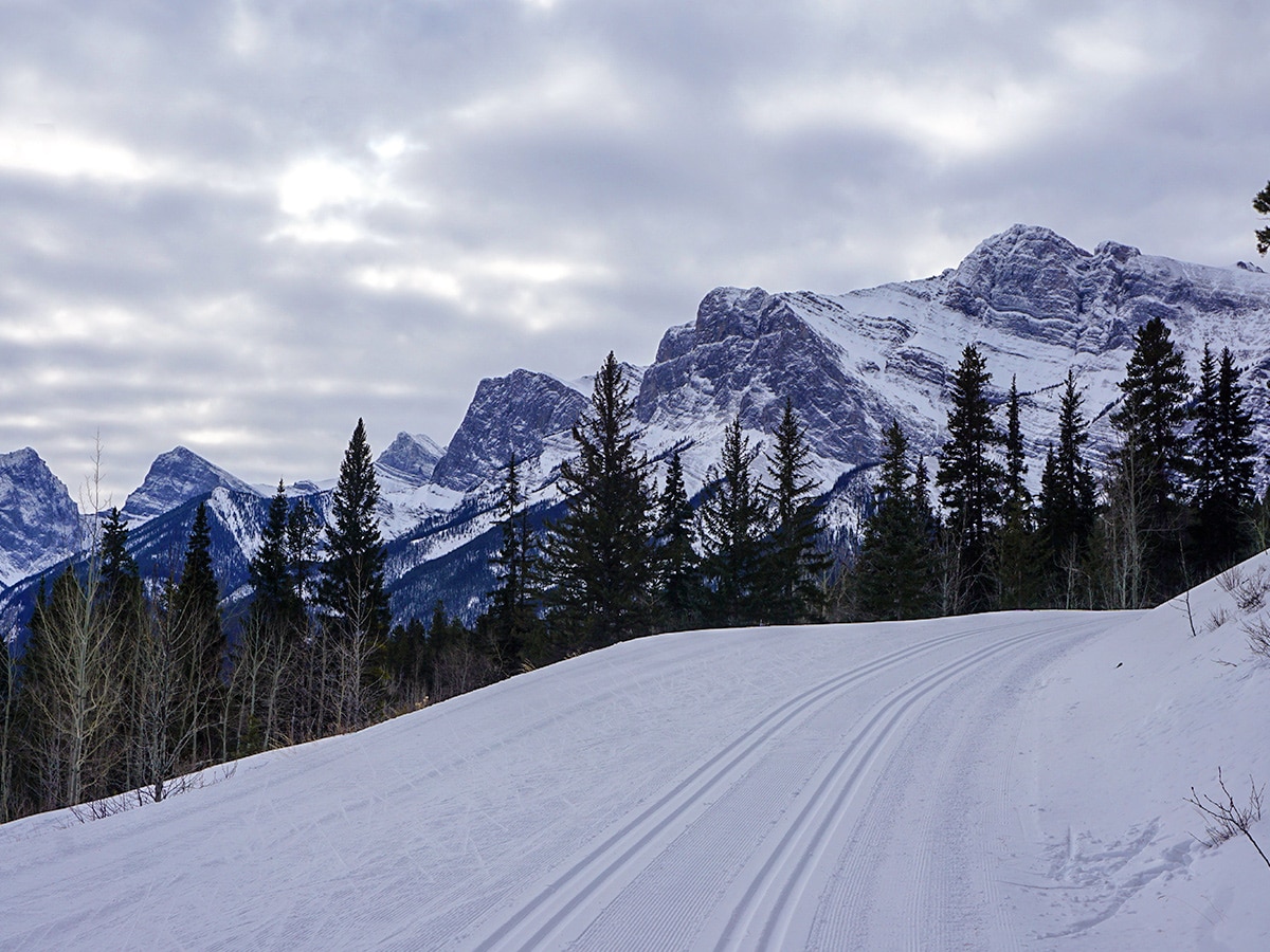 Wonderful views on Canmore Nordic Centre XC ski trail in Canmore near Banff National Park