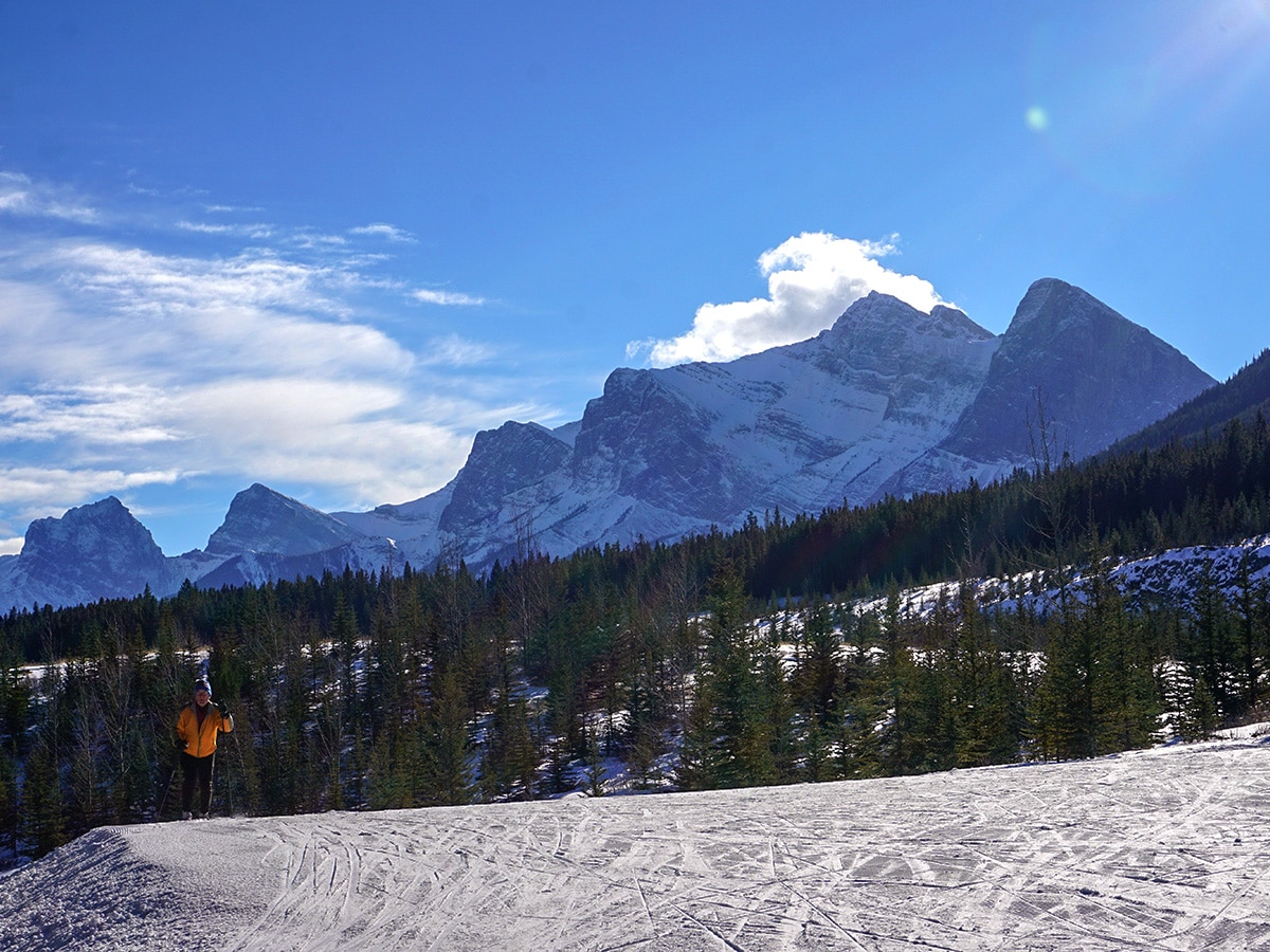 Views from the meadow on Canmore Nordic Centre XC ski trail in Canmore near Banff National Park