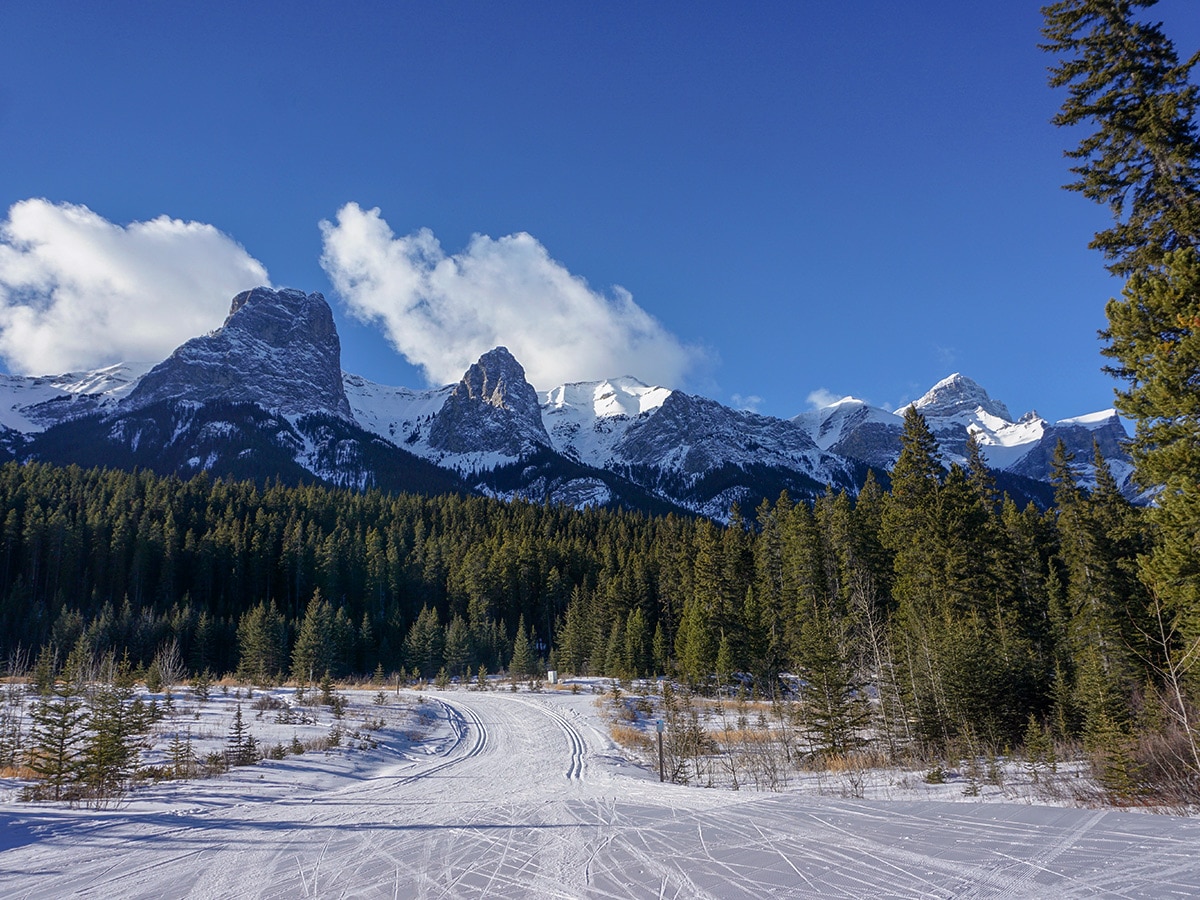 Mt Rundle views from Canmore Nordic Centre XC ski trail in Canmore near Banff National Park