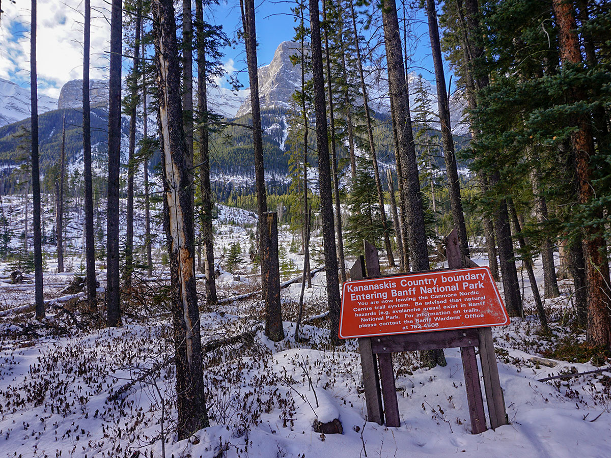 End of the trail on Canmore Nordic Centre XC ski trail in Canmore near Banff National Park