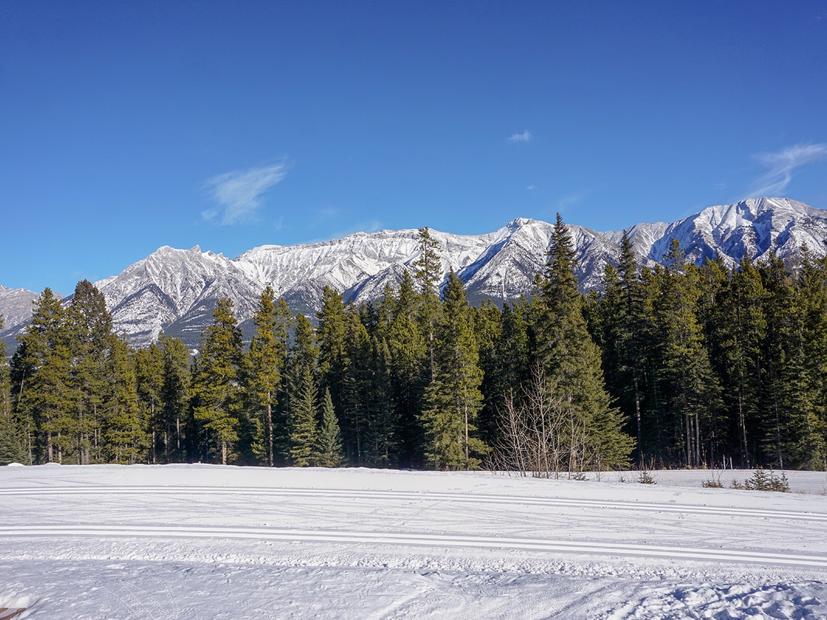 Great track on Canmore Nordic Centre XC ski trail in Canmore near Banff National Park
