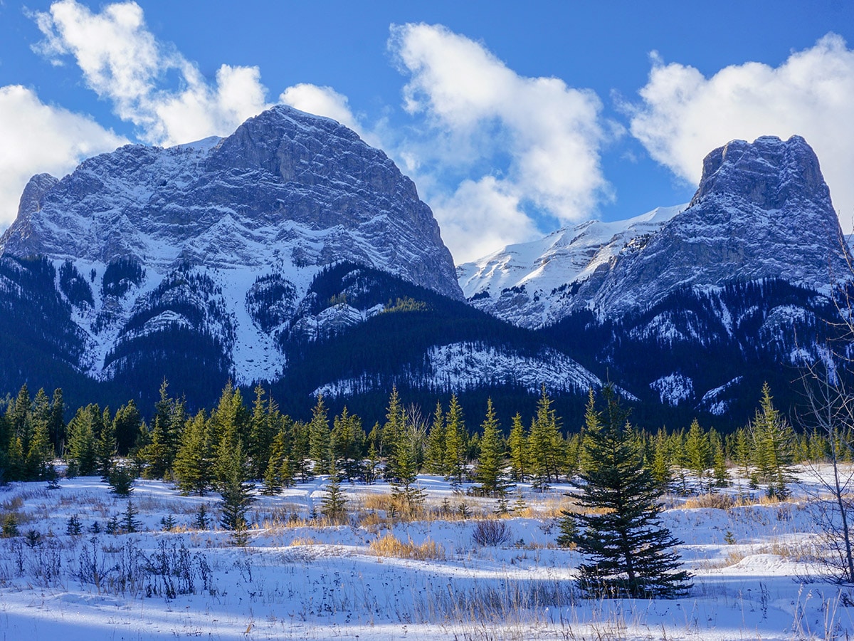 Beautiful scenery on Canmore Nordic Centre XC ski trail in Canmore near Banff National Park