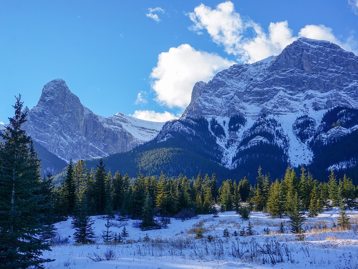 Winter views on Canmore Nordic Centre XC ski trail in Canmore near Banff National Park