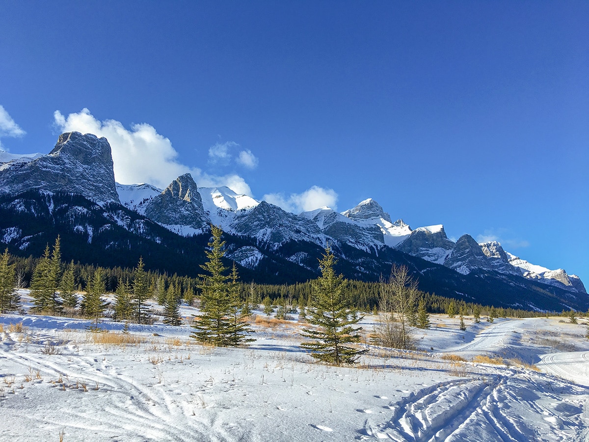 Scenic winter views on Canmore Nordic Centre XC ski trail in Canmore near Banff National Park
