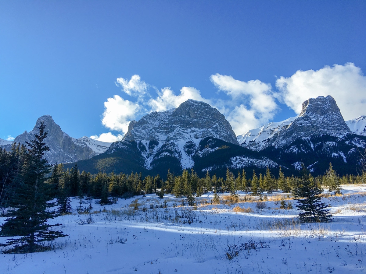 Canmore Nordic Centre cross country skiing trail